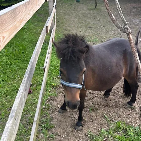 Rum i privatbostad Sachsenbucherhof *