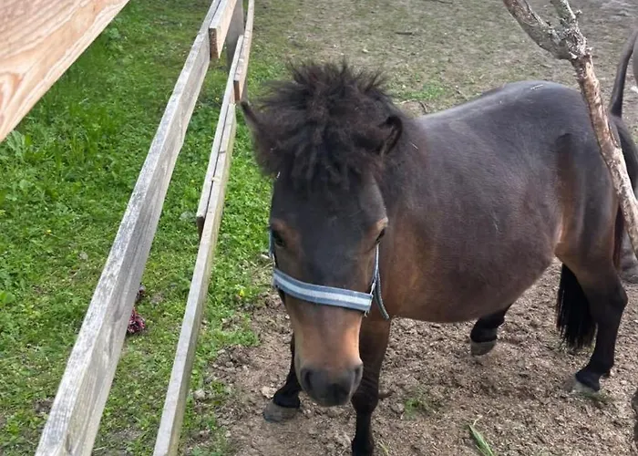 Rum i privatbostad Sachsenbucherhof *
