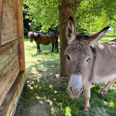 Sachsenbucherhof Gurten