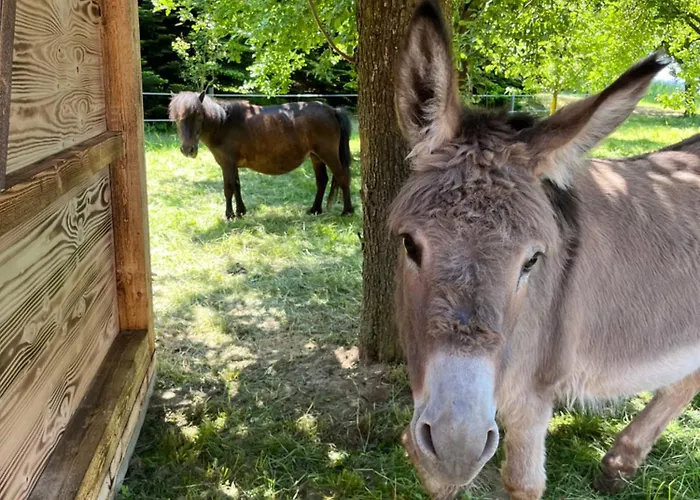 Sachsenbucherhof Gurten